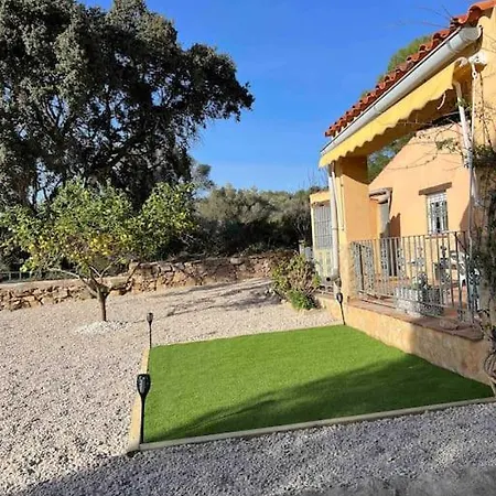 Unique - Tiny Eco Country