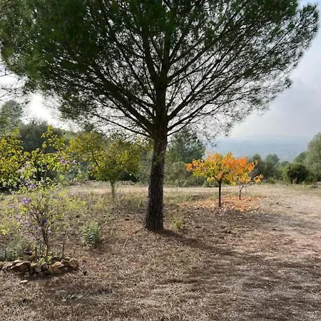 Villa Unique - Tiny Eco Country *