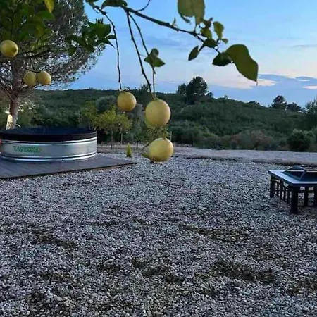 Villa Unique - Tiny Eco Country Cabanes (Valencia)