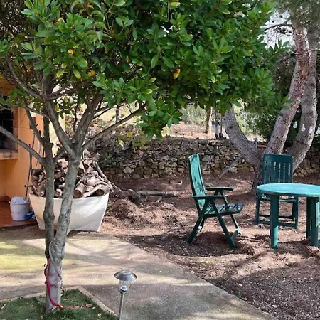 Villa Unique - Tiny Eco Country *