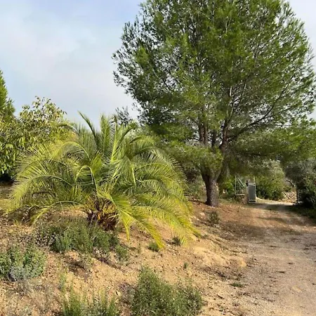 Villa Unique - Tiny Eco Country